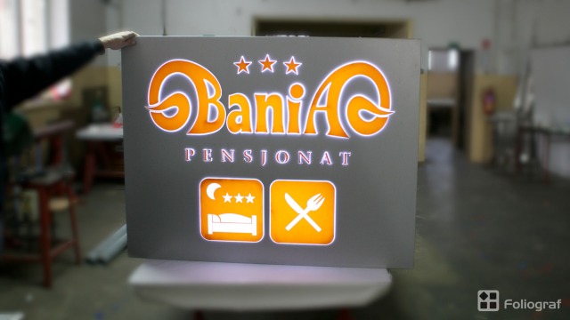 logo-z-plexi-2